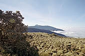 The Ajcanacu pass at 3739 m the last Andean pass that marks the entrance to the National Park of Manu 